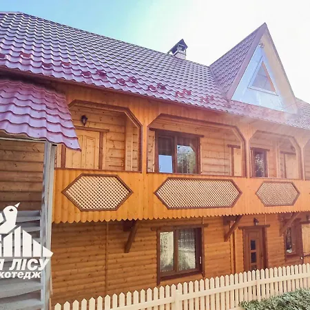 біля лісу Yaremche